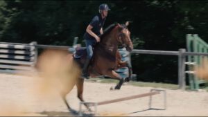 | `cheval.jpg` | Cavalier sur cheval bai en saut d'obstacles dans un man&egrave;ge ext&eacute;rieur | `Cavalier en comp&eacute;tition de saut d'obstacles film&eacute; au ralenti, vid&eacute;o sport &eacute;questre et reportage &eacute;v&eacute;nement sportif` |